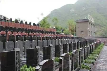 农村公益性公墓设施现存问题及成因分析