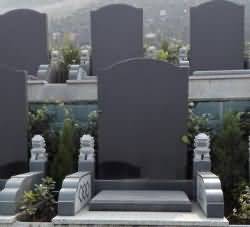 殡葬行政执法的特征