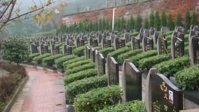 经营性墓地使用权性质模糊，墓地使用权人的私法保护缺失