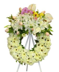 汤显祖家族墓园遗址考古取得重大成果汤翁魂归处揭晓