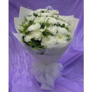 公墓墓葬整体规划调控思路