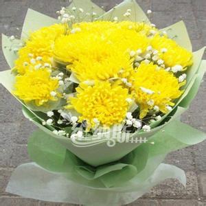 苏州城市公墓的可持续发展研究