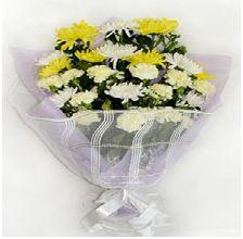 免费火葬减轻群众丧葬负担