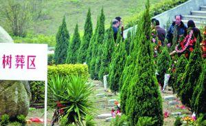 试论农村殡葬改革的缺陷与完善