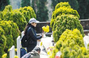 重庆主城区以外的区县殡葬改革探析