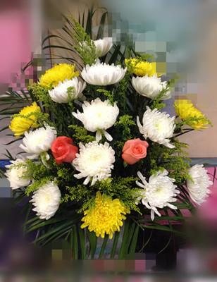 让先辈的抗战精神激励后人一一记“全国文物系统先进集体”云南腾冲滇西抗战纪念馆