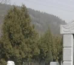 西安佛寺在佛教文化史上的特殊地位