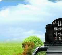 芮国墓地与其他诸侯国墓地比较研究