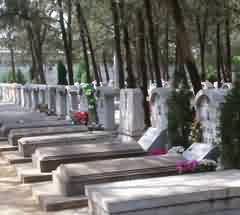 墓地的迁移、征收和征用