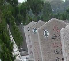天人一体的生态世界观