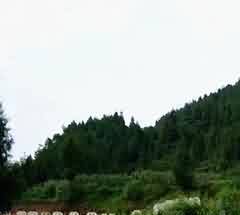 通过穿戴服饰刻画人物形象