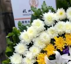 概述重庆市殡葬服务制度改革的现状