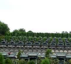 345.jpg