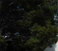 248.jpg