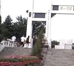 213.jpg
