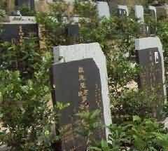 228.jpg