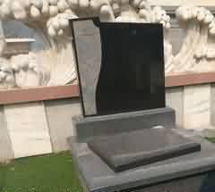 494.jpg