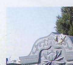 273.jpg