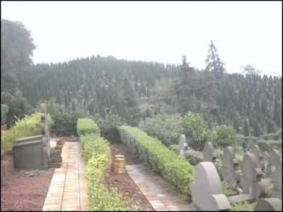 254.JPG