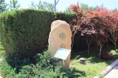 316.JPG