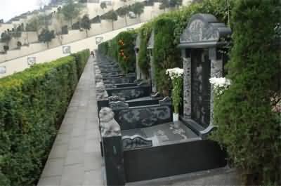 174.JPG