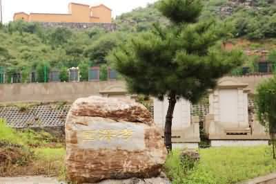 256.JPG