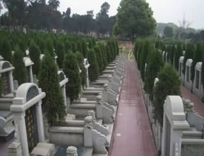 109.JPG