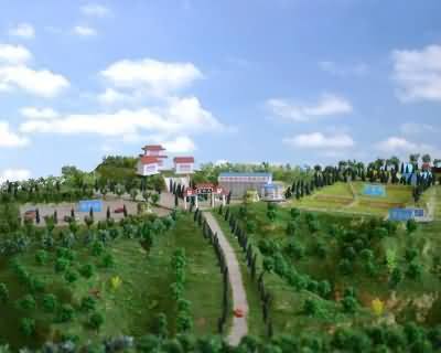 15.JPG
