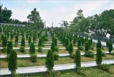 487.JPG