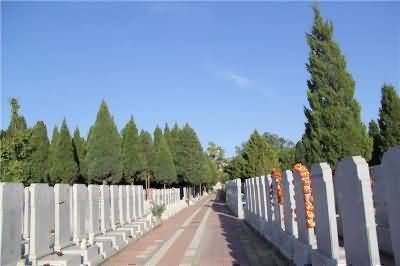 358.JPG