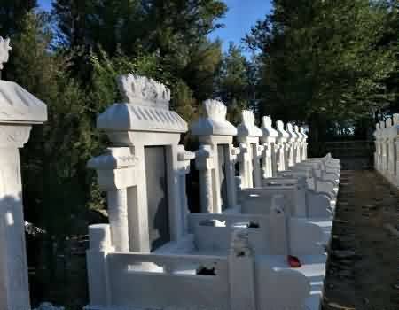 整治“活人墓”等突出问题