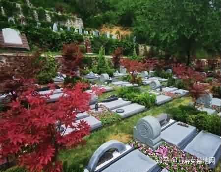 农村殡葬服务不对路，无法满足人民群众“死有所安”的心理诉求