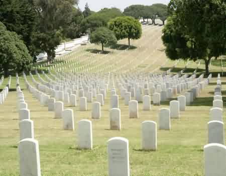 455.jpg