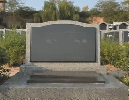 238.jpg
