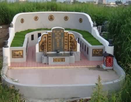 319.jpg