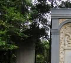 “以罚代法”为土葬和火化后二次装棺土葬