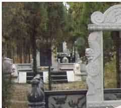 拒绝火葬的原因及意见反馈