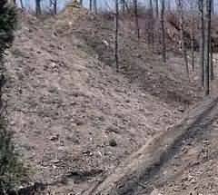 Z村的“抬丧”习俗