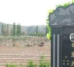 墓葬分布环境和形制结构