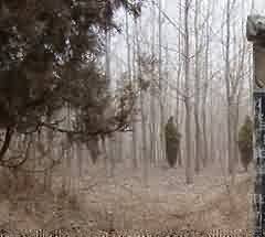 惜字与字纸崇拜