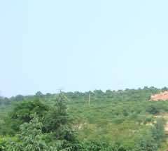 官府对于风水习俗的认同