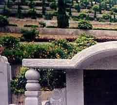 陪葬品中的凤鸟漆木雕塑