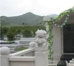 二次葬引发的社会问题