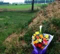 孝梯仁义的修身之重