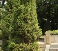 二次葬是土家族渔猎经济形态观念的体现