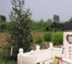 通渭丧俗纸扎的文化内涵